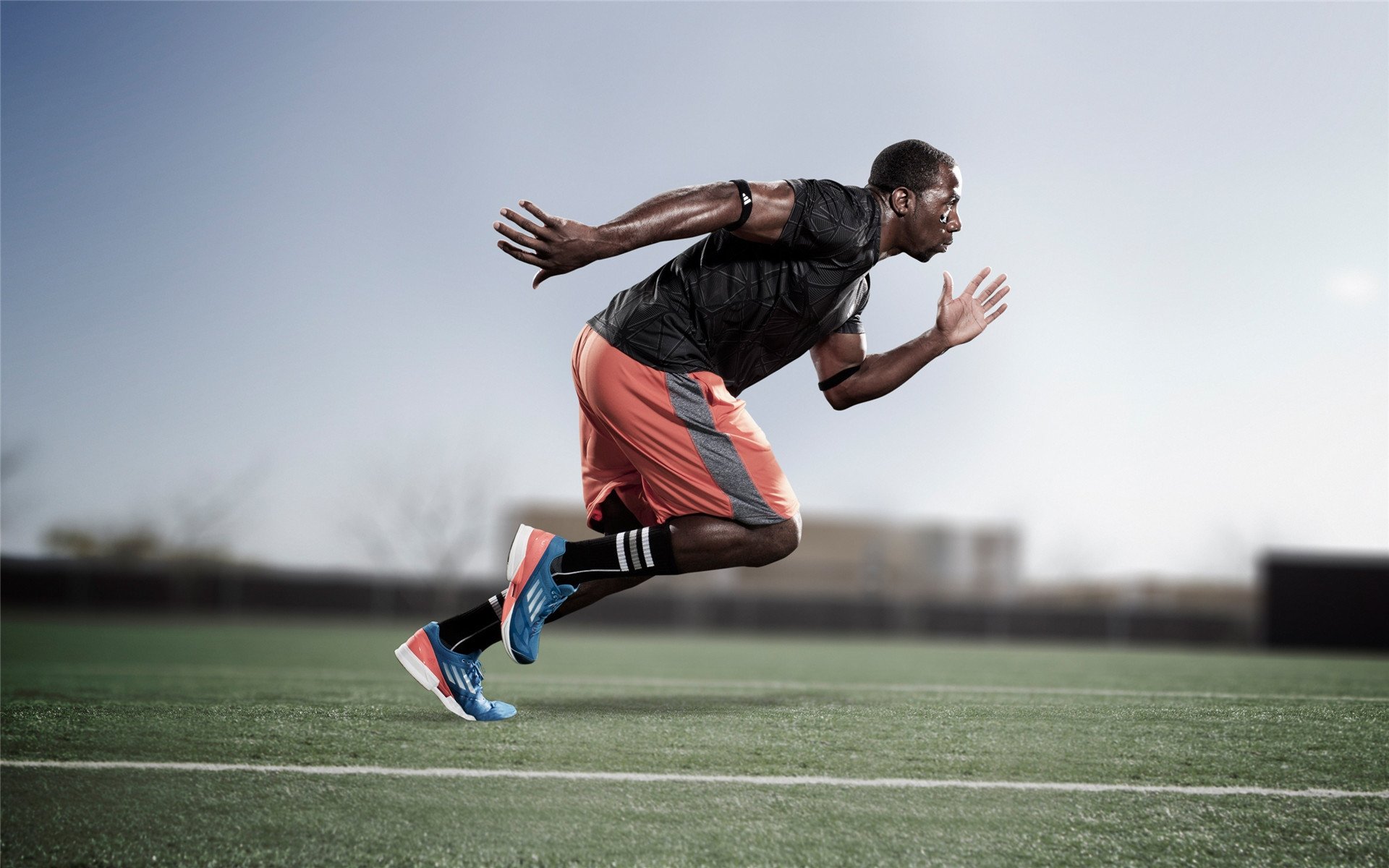 广厦队踏平凯尔特人，霍勒迪存在感拉满！一场跨越想象的篮球对话