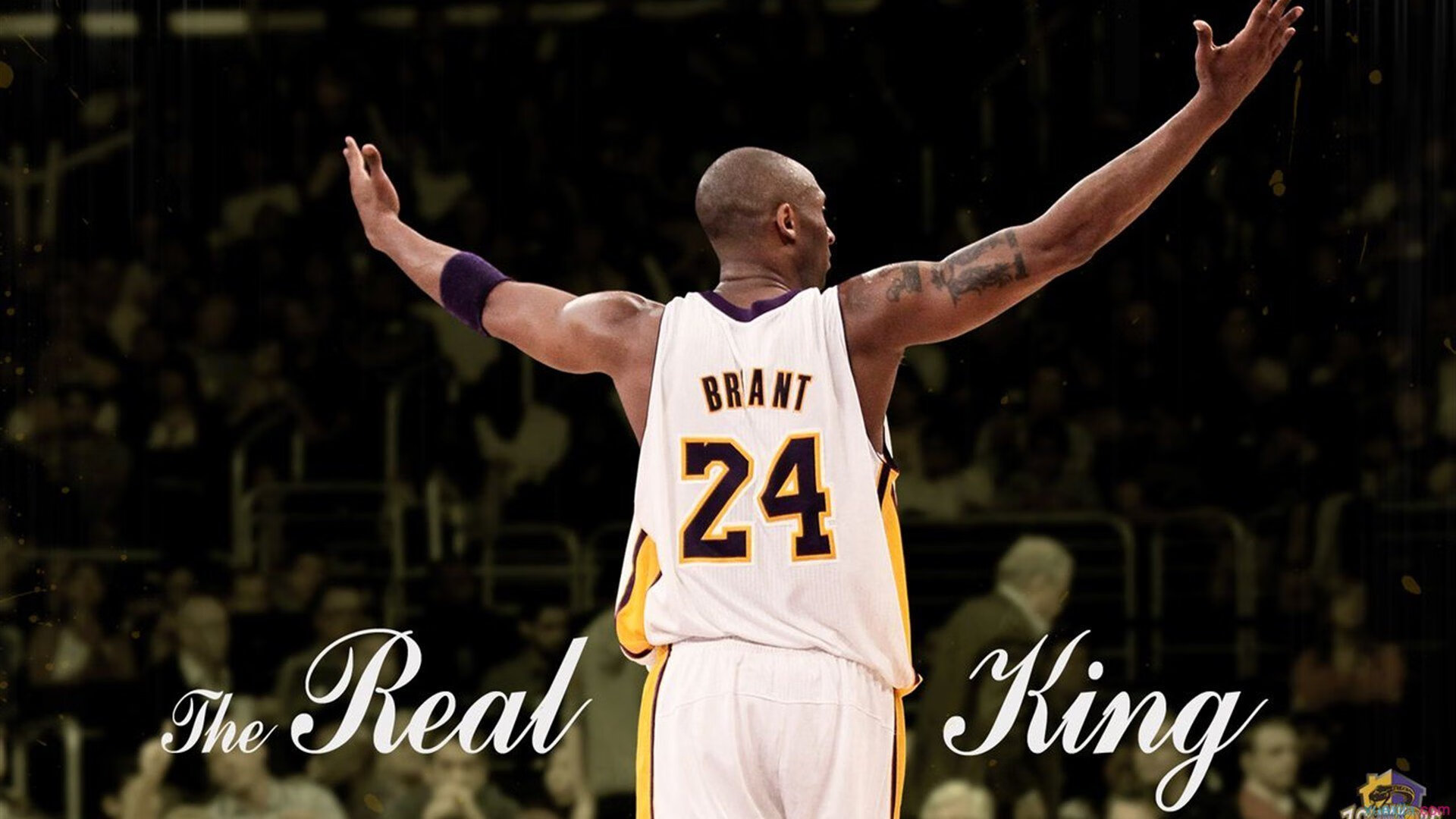 太阳力克猛龙,班凯罗成为关键先生